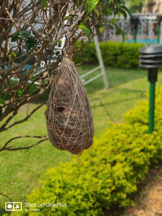 New Hemanjali Resort Bolpur Exterior foto